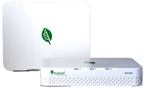 Bigleaf Router