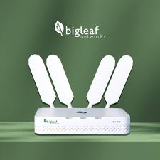 Bigleaf Router